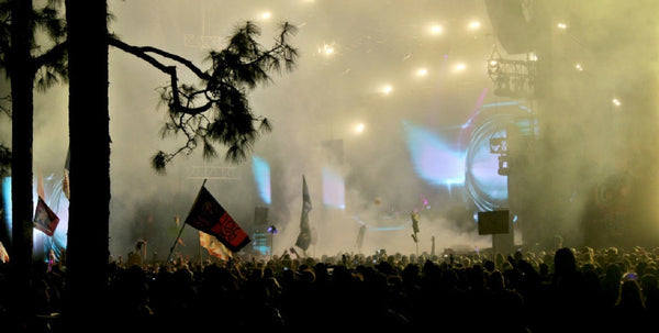 Okeechobie Music and Arts Festival Recap