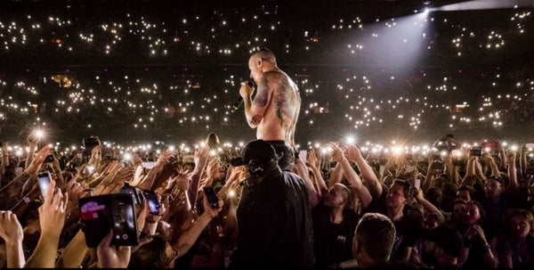 Did You See the Linkin Park Tribute to Chester?
